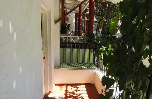 Santa Marta Apartment | Casa del Mango, une pause entre deux aventures