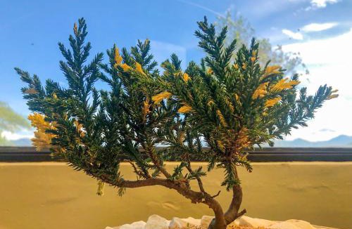 Buesaco House | Finca cafetera turística