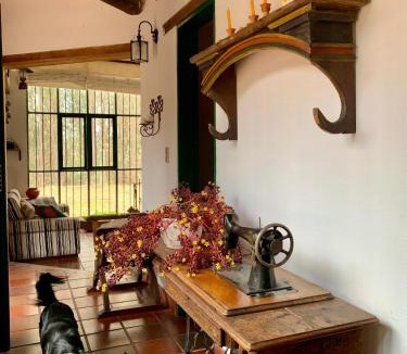 Duitama House | Casa Loma - Ubicada en un bosque de eucaliptos entre Paipa y Duitama