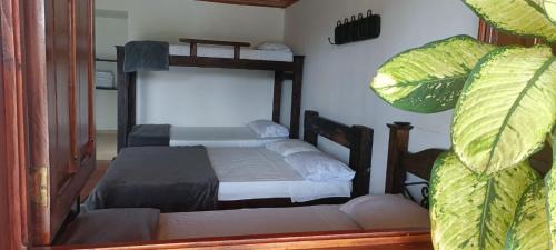 Quimbaya Hotel | FINCA HOTEL GUADUAL Quindío