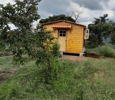 Salento Other | Cabaña Rustica Durango