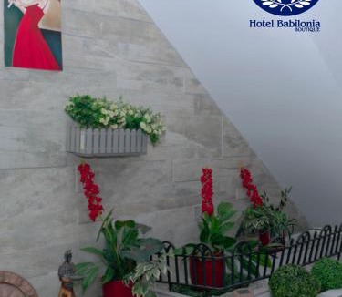 San Jose de Cucuta Hostel | Hotel Babilonia Boutique