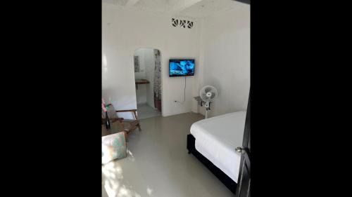 Torices House | Room in Lodge - Tr-V4d Hostel room near Castillo San Felipe with pool and WIFI