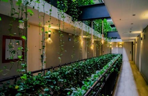 Guayabal Hotel | 4 Sur Hotel