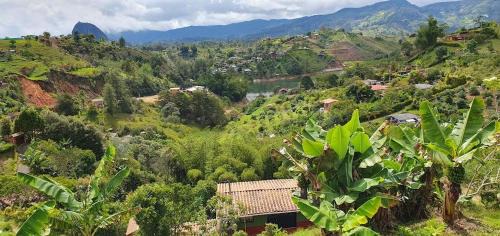 El Penol Bed & Breakfast | Finca Buena Vista