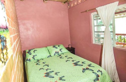 Filandia House | Hostal El Naranjito Filandia