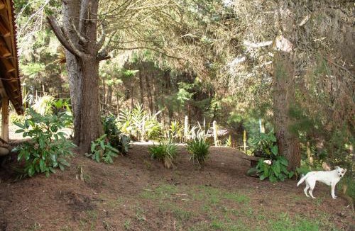 Guarne House | Glamping con jacuzzi cerca a Medellin