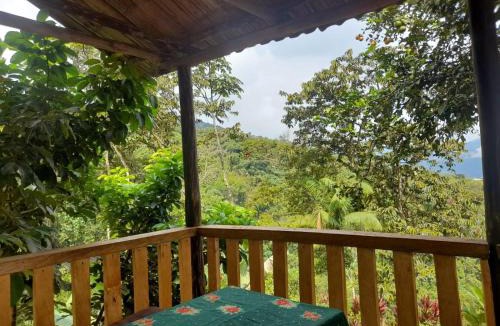 Cocorna House | El Tagual, alojamiento Villa Hermosa