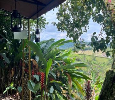 Manizales Apartment | Tierra Mágica eje cafetero