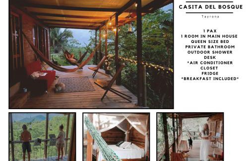 Mata de Platano Cabin | Casa del Bosque Tayrona