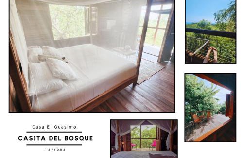 Mata de Platano Cabin | Casa del Bosque Tayrona