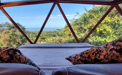 Mata de Platano Other | Glamping - Habla con la Luna