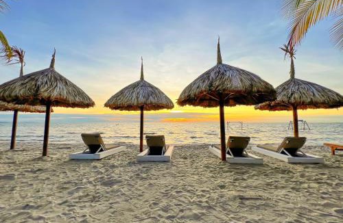 Tolu Hotel | Hotel Camino Verde