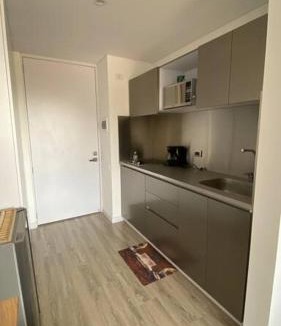Santa Fe Apartment | Hermoso loft con vista hacia los cerros.