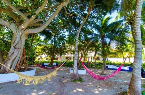 Rosario Islands Hotel | Hotel Cocoliso Island Resort