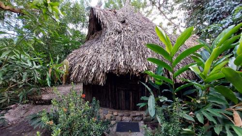 Palomino House | Auroa Palomino