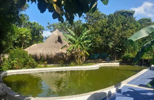 Palomino Apartment | Finca Los Mangos
