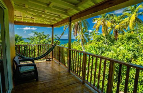 Providencia House | Frenchy's