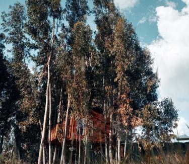 Guatavita Other | Casa en el Árbol Guatavita