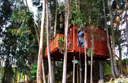 Guatavita Other | Casa en el Árbol Guatavita