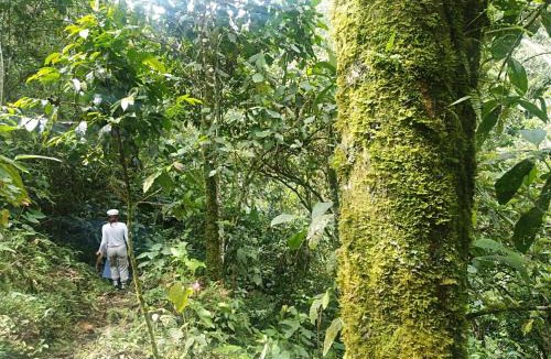 Filandia House | Alojamiento Rural ALMA JAGUAR