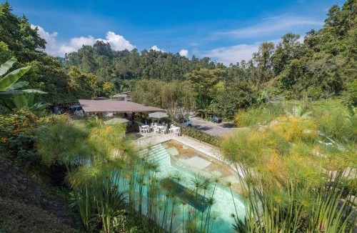 Gallinazo Hotel | Hotel Termales Tierra Viva