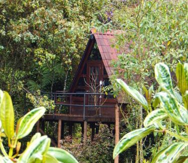 Los Nomos House | Chalets en Santa Elena en medio del Bosque