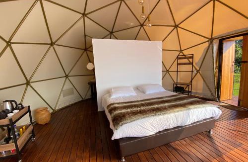 Tocancipa Hotel | Casa Oro Glamping Hostel