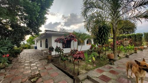 Pereira House | Hacienda Chapinero