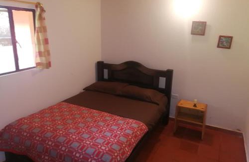 Tena House | Nuestro Bosque I