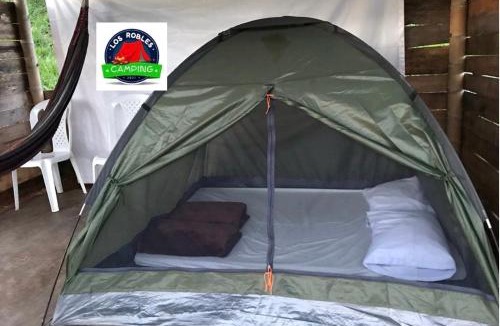 Totoro Other | CAMPING LOS ROBLES POPAYÁN