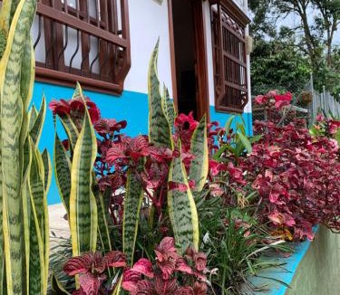 Jardin House | Casa Huespedes EL ENSUEÑO