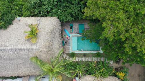 Palomino House | casa kashiikaii