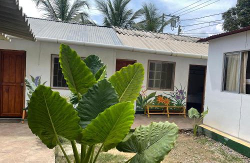 Palomino Hostel | Palomino Hostel
