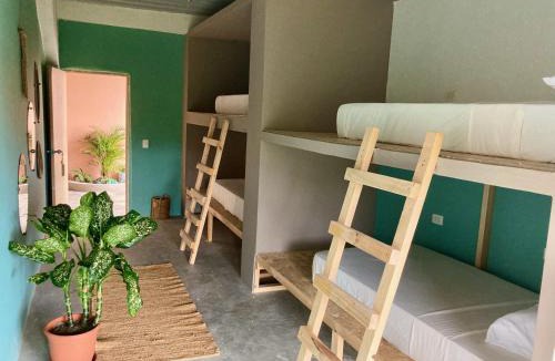 Los Naranjos Hostel | The Journey Hostel