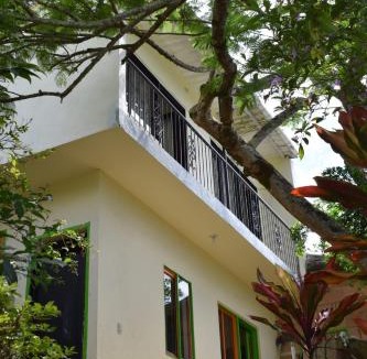 Pandi House | Hostal Nápoles