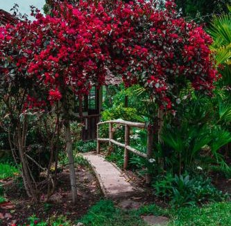 San Agustin House | Hostel Casa de Nelly