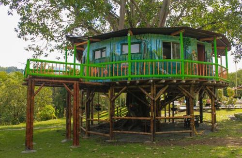 Pereira Cabin | Tree House Finca La Floresta Verde
