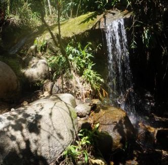 Cocorna Bed & Breakfast | Ecofinca Fuente Alegre