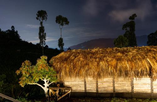 La Estrella Other | Eco Hotel Glamping El Silencio