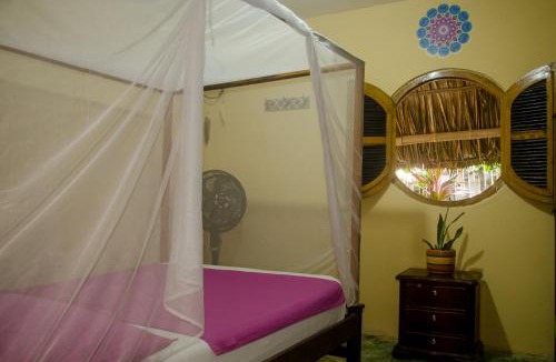 Palomino Hostel | Hostal Corazón de Tagua