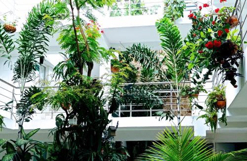 Palmira Hotel | Hotel Boutique los Remansos