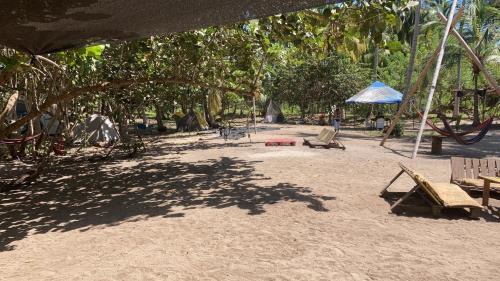 Palomino Other | Playa Colombia