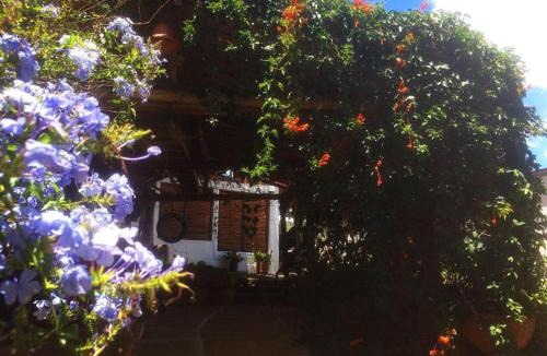 Barichara Hostel | Tinto Hostel