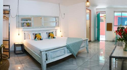Barrio Centro Hostel | Flamingo Hostel & Coworking