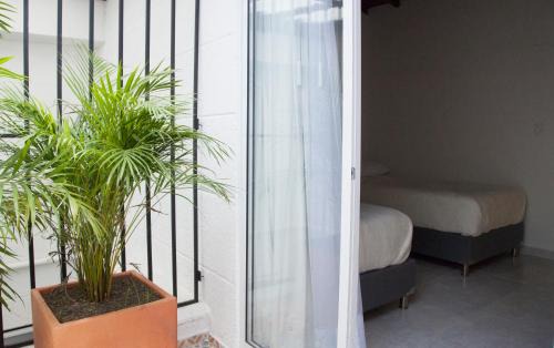 Retiro Apartment | Apartamento remodelado en el mejor sitio del centro de Medellín Home Aris 401