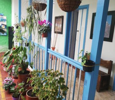 Salento Hostel | Hostal Bosque de Niebla