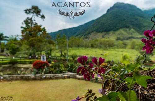 Tamesis Hotel | Acantos Hotel Campestre