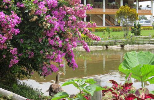 Tamesis Hotel | Acantos Hotel Campestre