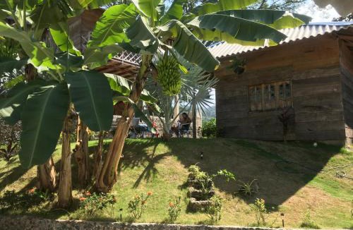 Canaveral Hotel | Deep Forest Posadas Ecoturisticas
